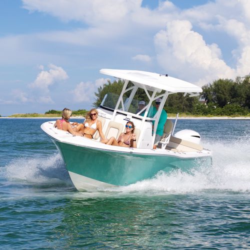 Barca open fuoribordo - 249 AVENGER - Sea Fox Boats - con console laterale / da pesca sportiva / max. 10 persone