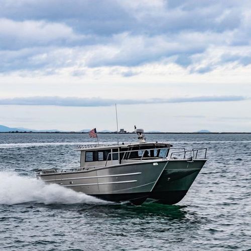 Barca da pesca professionale - 4216-CTC - Armstrong Marine - catamarano / entrobordo / diesel