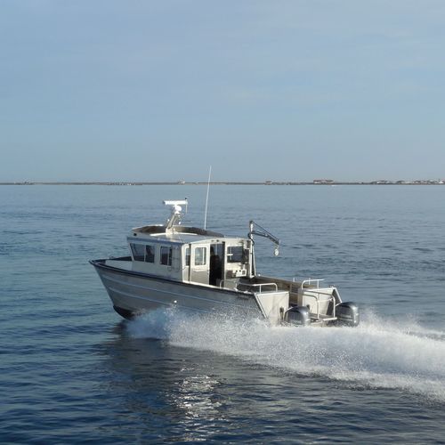 Barca professionale nave idrografica - 3513-CTC | LabCat - Armstrong Marine - catamarano / fuoribordo / in alluminio