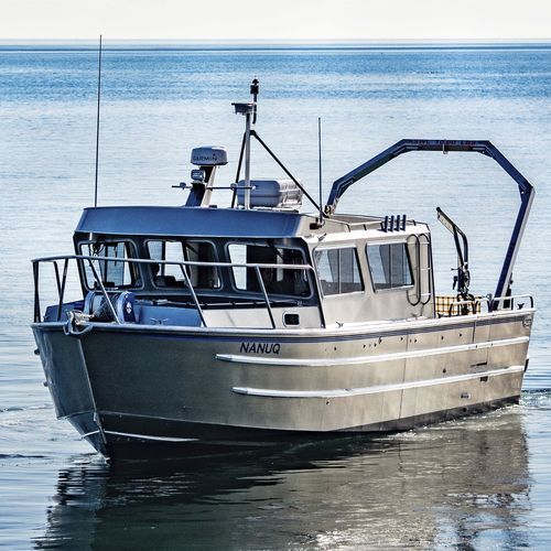 Barca professionale nave idrografica - 4013-RCM | LabCat - Armstrong Marine - entrobordo / in alluminio