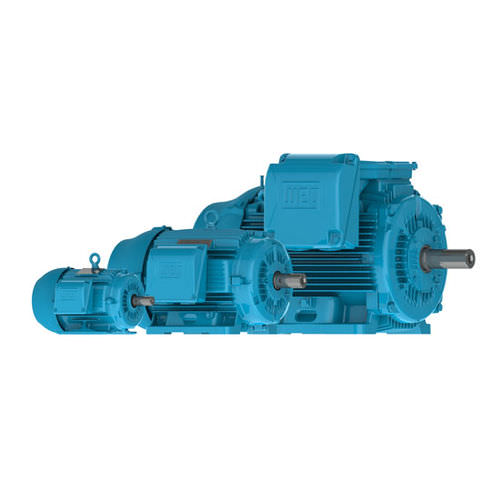 Motore entrobordo - W22 NEMA Premium - Weg Electric Motors - di propulsione / elettrico / per nave