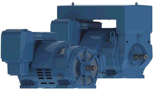 Motore entrobordo - W40 – Open Induction Motors – NEMA Premium Efficiency - Weg Electric Motors - elettrico / per barca professionale / per nave