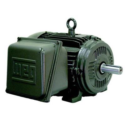 Motore entrobordo - W21 TEFC IP55 - Weg Electric Motors - elettrico / per nave / per barca professionale
