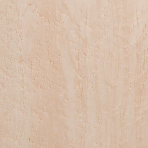 Pannello di placcatura - Knotty Maple - Kuiper Holland - Superyacht Interior Panels - in legno