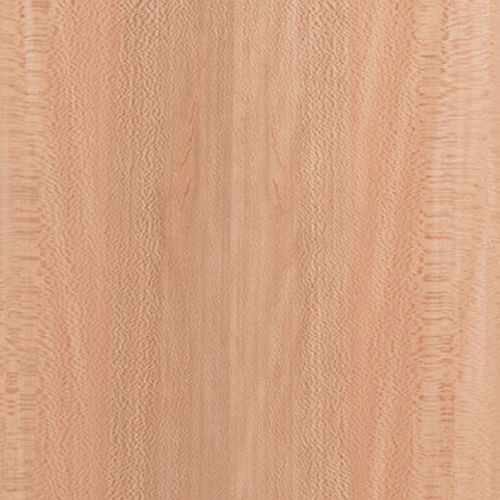 Pannello di placcatura - Sycamore - Kuiper Holland - Superyacht Interior Panels - in legno