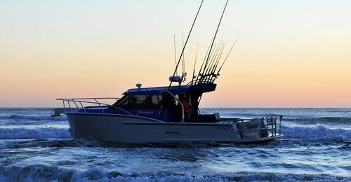 Cabin-cruiser entrobordo - CUSTOM 900 - Dickey Boats Limited - hard-top / da pesca sportiva