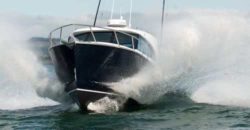 Cabinato entrobordo - CUSTOM 950 - Dickey Boats Limited - con fly chiuso / hard-top / da pesca sportiva