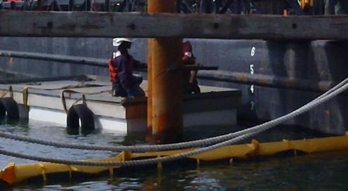Pontile galleggiante - AccuDock - da lavoro / per marina / in alluminio