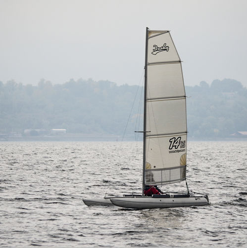 Catamarano sportivo gonfiabile - Ducky-14s - Inflatable Solution - Eduard Maydanik - singolo / cat boat