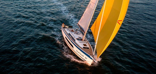 Sailing-yacht da crociera costiera - Dufour 37 - Pop Factory - con 2 cabine / con 3 cabine / in fibra di vetro