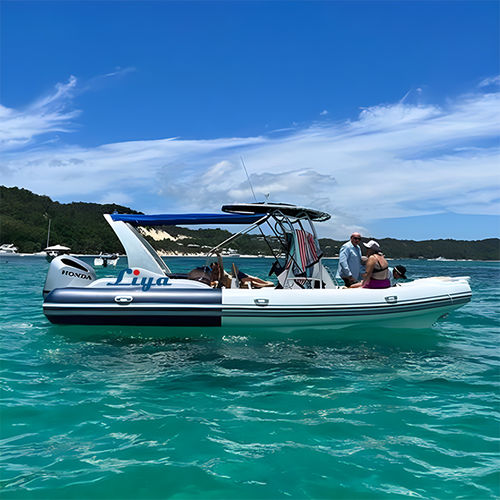 Gommone fuoribordo - RIB750-C - Qingdao Lian Ya Boat Co.,Ltd. - a benzina / bimotore / semirigido