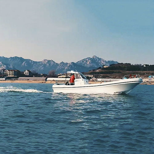Barca professionale barca da pesca professionale - FRP26F - Qingdao Lian Ya Boat Co.,Ltd. - fuoribordo / RIB