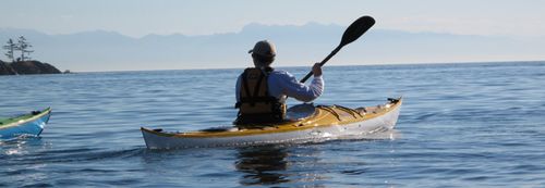 Kayak da escursione - Denali - Eddyline Kayaks - da mare / per adulto / monoposto