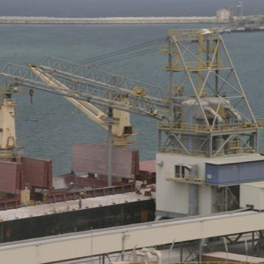 Scaricatore di navi pneumatico - ALUMINA - NEUERO Industrietechnik GmbH - continuo / mobile / su rotaie