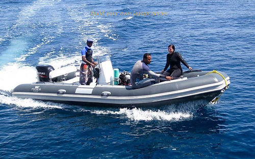 Barca professionale barca di supporto per immersioni - DM600 - Tiger Marine - fuoribordo / gommone semirigido