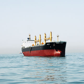 Nave cargo portarinfuse - DAE SUN SHIPBUILDING - panamax