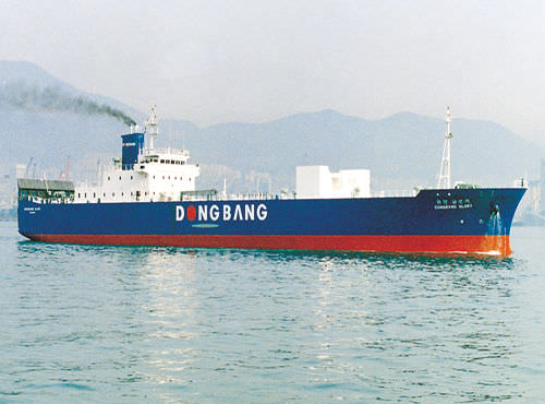 Nave cargo Ro-Ro - DAE SUN SHIPBUILDING
