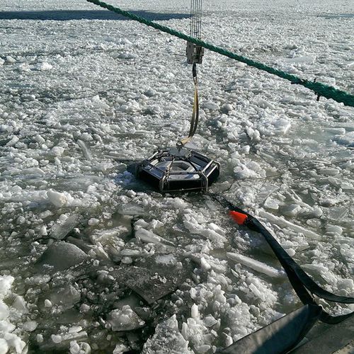 Skimmer per idrocarburi multi-spazzola - Polar Bear - Desmi