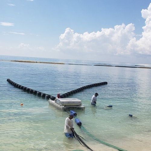 Skimmer per idrocarburi a nastro - Seaweed  - Desmi - per acque calme