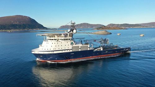 Nave di supporto offshore di supporto - ISLAND VICTORY - Fincantieri - Cantieri Navali Italiani - anchor handling tug AHT / non specificato