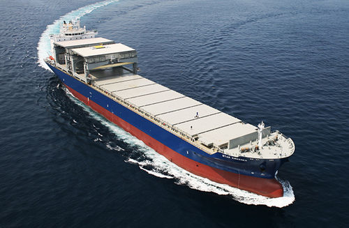Nave cargo portarinfuse - 49k OHGCC - HYUNDAI MIPO DOCKYARD