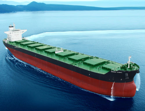 Nave cargo portarinfuse - K Shipbuilding - handysize