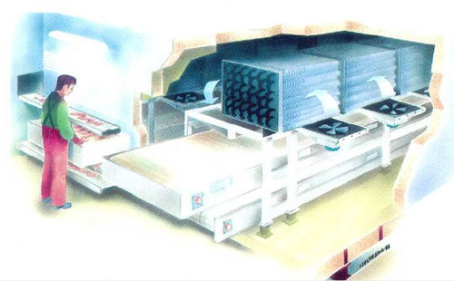 Congelatore industriale per nave da pesca - IQF - Teknotherm