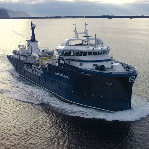 Nave cargo di trasporto per pesci vivi - RONJA POLARIS - Astilleros Zamakona