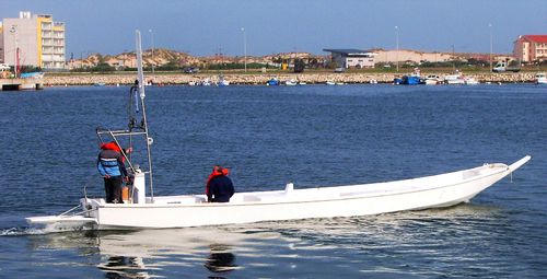 Barca professionale barca da pesca professionale - PIROGUE 12 - Estaleiros Navais de Peniche - entrobordo / GRP