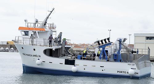 Barca professionale della rete a circuizione - FB.P.20F - Estaleiros Navais de Peniche - entrobordo / GRP