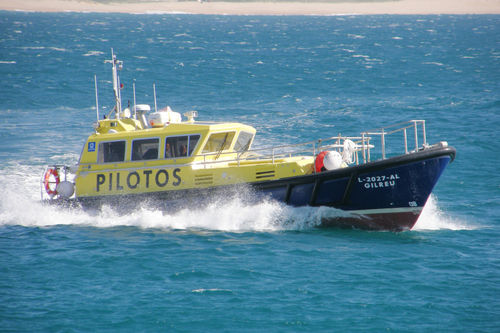 Barca professionale pilotina - 12 - Estaleiros Navais de Peniche - entrobordo / GRP