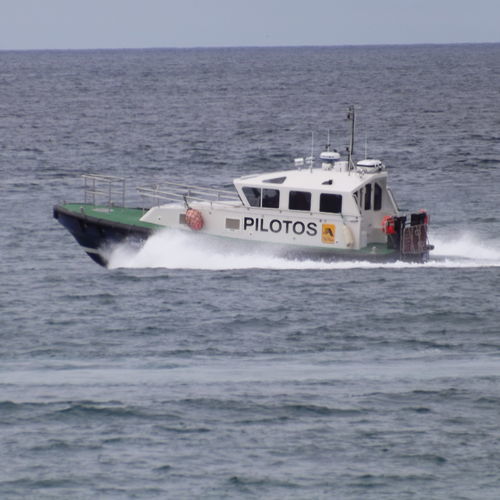 Barca professionale pilotina - 12.6 - Estaleiros Navais de Peniche - entrobordo / GRP