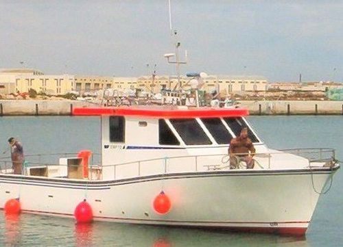 Barca professionale barca per trasporto passeggeri - 12 - Estaleiros Navais de Peniche - entrobordo / GRP