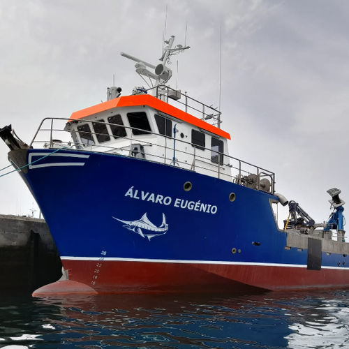 Barca professionale della rete a circuizione - Cercador - Estaleiros Navais de Peniche - in composito