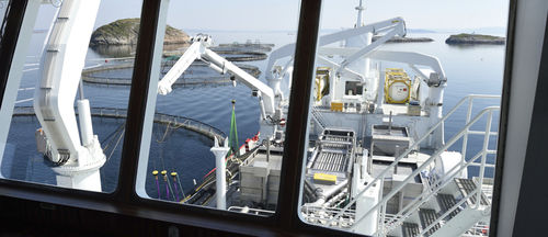 Nave da pesca professionale di trasporto per pesci vivi - HAVTRANS - Havyard Group