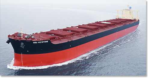 Nave cargo portarinfuse - Imabari Shipbuilding Co., Ltd. - Capesize