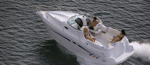 Cabin-cruiser entrobordo - Gold II - Lema boats - open / sportivo / max. 8 persone