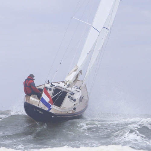 Barca a vela da crociera - SC 8 M  - Saffier Yachts - tradizionale / daysailer / con 1 cabina