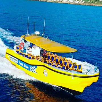Barca professionale barca per trasporto passeggeri - 50 - QUER PROFESSIONAL BOATS - barca di supporto per immersioni / entrofuoribordo / Z-drive