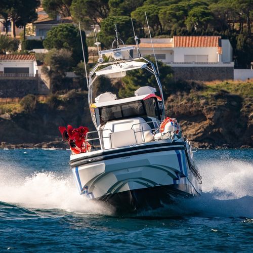 Barca professionale barca di ricerca e studio - Q80 Explorer - QUER PROFESSIONAL BOATS - entrobordo / in composito armato di fibra di vetro / in carbonio