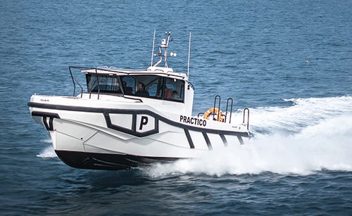 Pilotina - QUER 35 - QUER PROFESSIONAL BOATS - entrobordo / diesel / ibrida diesel-elettrica