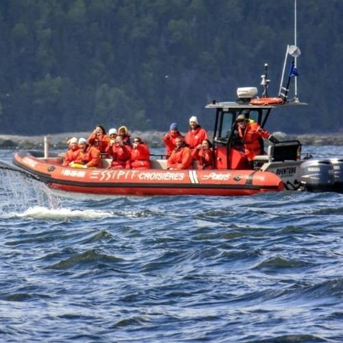 Barca professionale barca di salvataggio - PRH 746 - Polaris boat - fuoribordo / in fibra di vetro / in alluminio