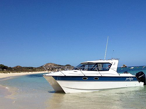 Cabinato catamarano - 32RS - ArrowCat Marine - fuoribordo / da pesca sportiva