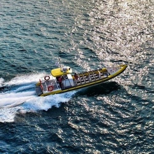 Barca professionale patrol boat - 12.5M - Tornado Boats - barca di salvataggio / battello turistico / barca utilitaria