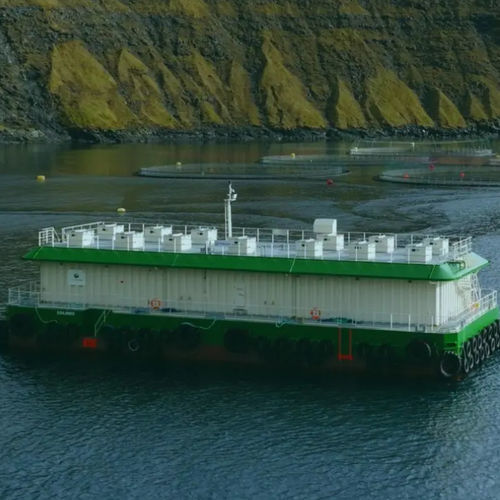 Nave speciale feeder - GroBarge - GroAqua - chiatta
