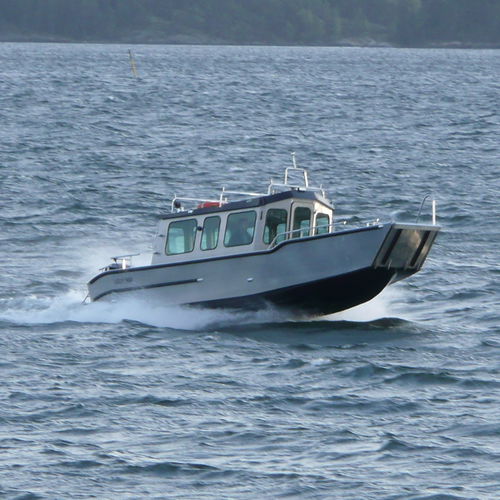 Barca professionale mezzo da sbarco - C800 WT  - MS Boat - fuoribordo / in alluminio
