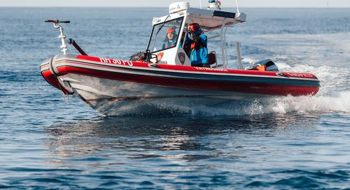 Barca professionale patrol boat - PA 760 - HIGHFIELD BOATS - barca da lavoro / fuoribordo / in alluminio