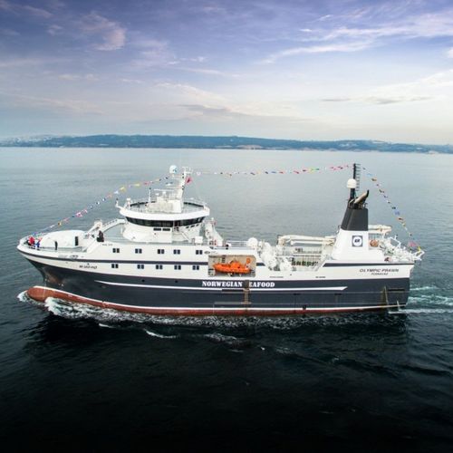 Nave da pesca peschereccio a strascico - OLYMPIC PRAWN - Cemre Shipyard
