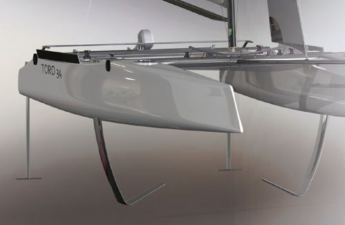 Catamarano - TORO 34R - Design Catamaran Inc - da regata / con 4 cuccette / in carbonio