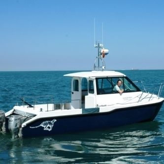 Day cruiser catamarano - Boblin 2 - Cheetah Marine - fuoribordo / bimotore / con cabina di pilotaggio